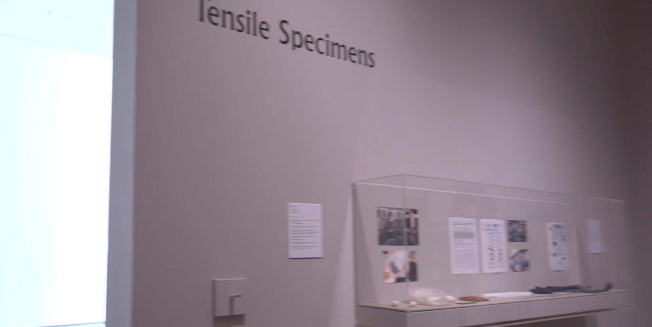 tensile.jpg