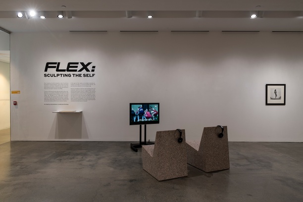 Flex 07.jpg
